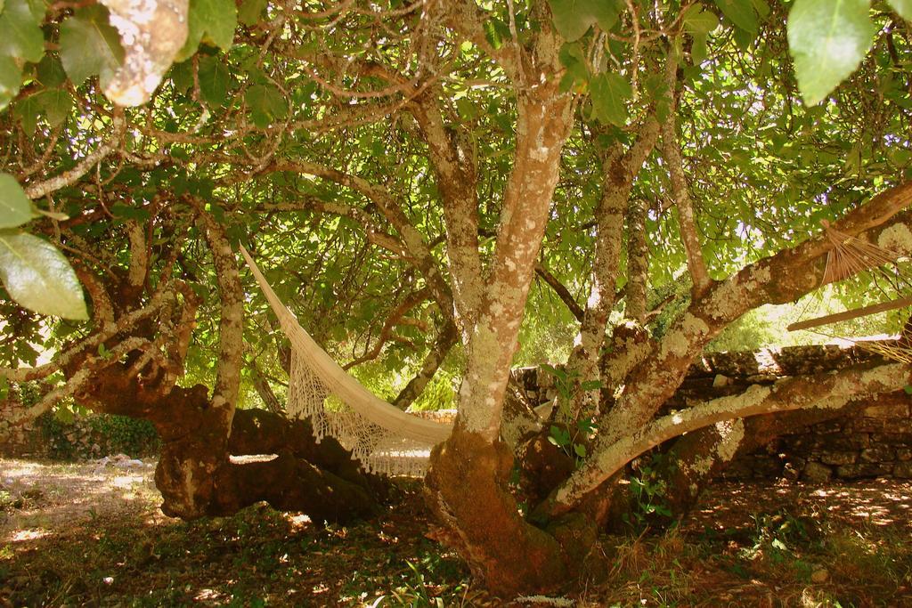 Alvorge Otium Country House المظهر الخارجي الصورة
