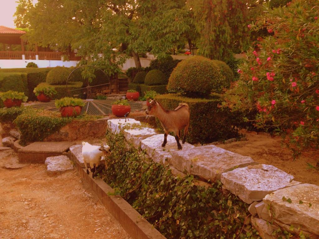 Alvorge Otium Country House المظهر الخارجي الصورة