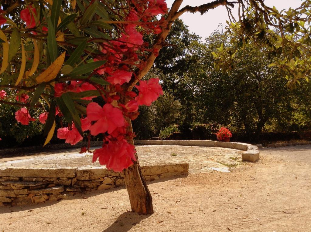 Alvorge Otium Country House المظهر الخارجي الصورة