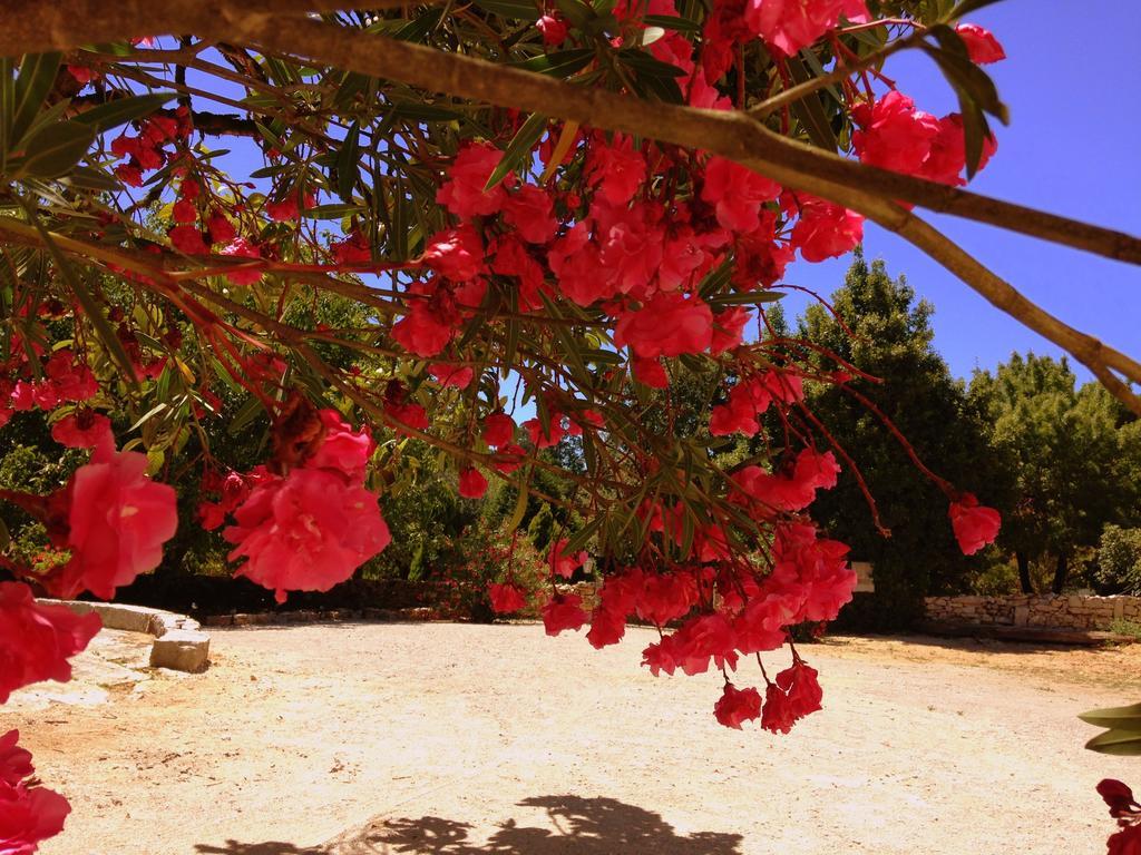 Alvorge Otium Country House المظهر الخارجي الصورة